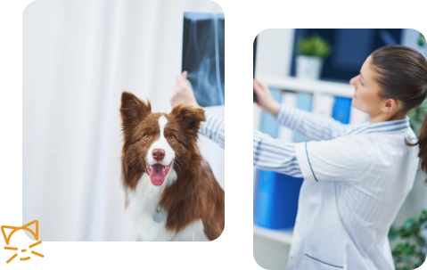 Una mujer analiza una radiografía que sostiene en sus manos y un perro está a su lado